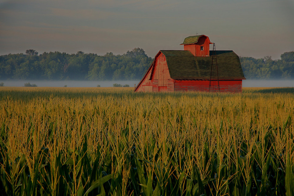 Farm & Crop Insurance | Ogallala NE | (308) 284-6034 | Adams Insurance Advisors